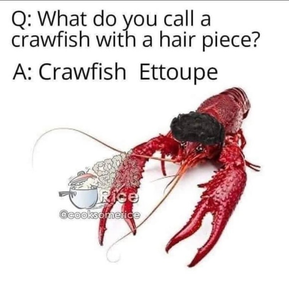 Open to trades see description below thanks! - Picture 7 of 7